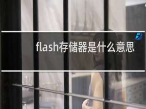 flash存储器是什么意思