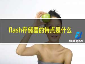 flash存储器的特点是什么