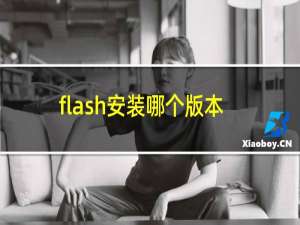 flash安装哪个版本