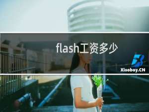flash工资多少