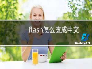flash怎么改成中文