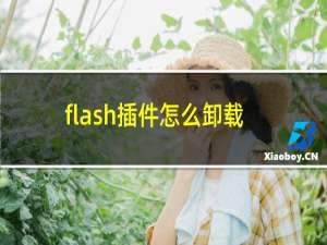 flash插件怎么卸载