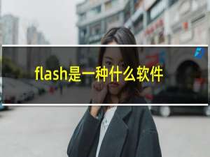 flash是一种什么软件