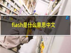 flash是什么意思中文