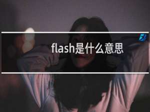 flash是什么意思