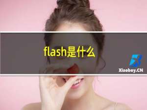 flash是什么
