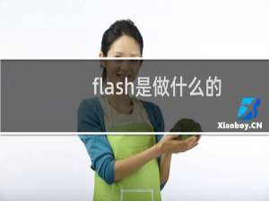 flash是做什么的