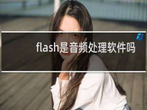 flash是音频处理软件吗