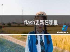 flash更新在哪里