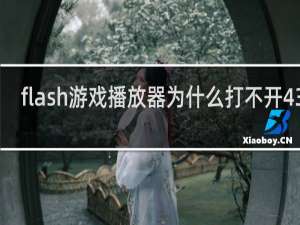 flash游戏播放器为什么打不开4399