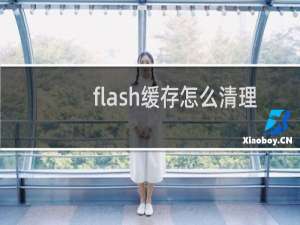flash缓存怎么清理