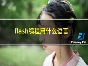 flash编程用什么语言