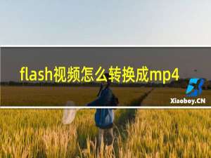 flash视频怎么转换成mp4