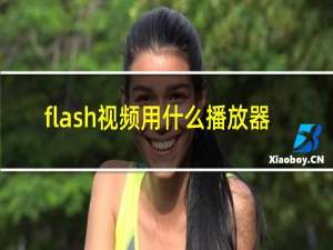 flash视频用什么播放器