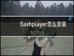 flashplayer怎么安装