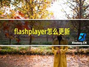 flashplayer怎么更新