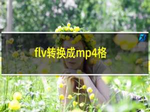 flv转换成mp4格式在线（flv转avi）