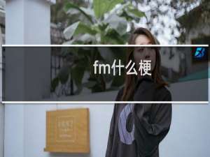 fm什么梗