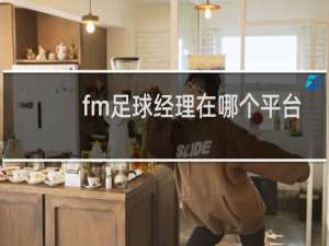 fm足球经理在哪个平台