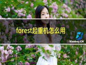 forest起重机怎么用