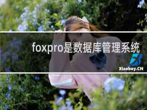 foxpro是数据库管理系统