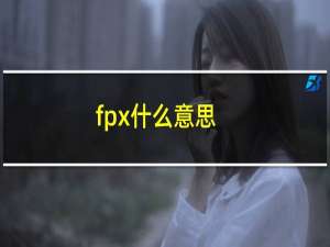 fpx什么意思