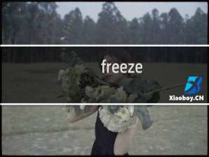 freeze