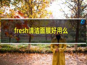 fresh清洁面膜好用么