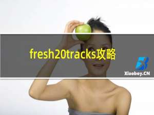 fresh tracks攻略