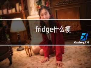 fridge什么梗