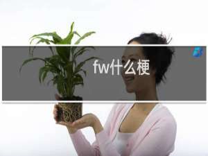 fw什么梗