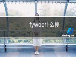 fywoo什么梗