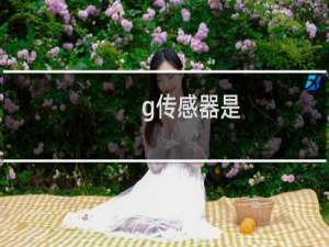 g传感器是
