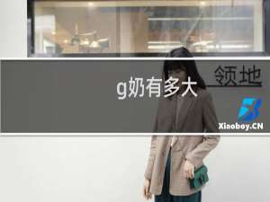 g奶有多大