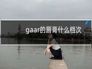 gaar的唇膏什么档次