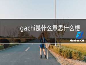 gachi是什么意思什么梗