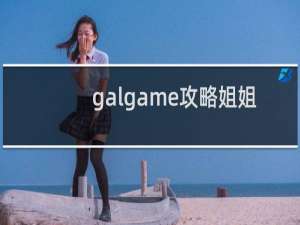 galgame攻略姐姐