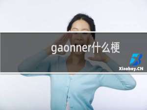 gaonner什么梗