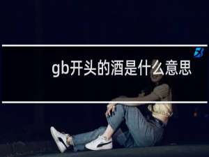 gb开头的酒是什么意思