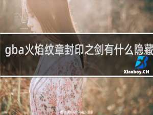 gba火焰纹章封印之剑有什么隐藏要素