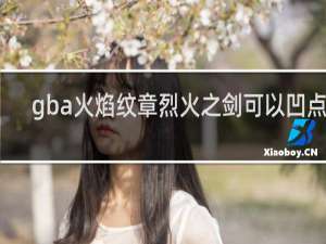 gba火焰纹章烈火之剑可以凹点吗