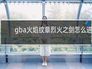 gba火焰纹章烈火之剑怎么进