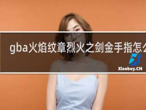 gba火焰纹章烈火之剑金手指怎么用