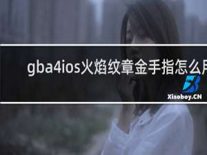 gba4ios火焰纹章金手指怎么用