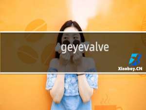 geyevalve.com网站怎么突然打不开了？