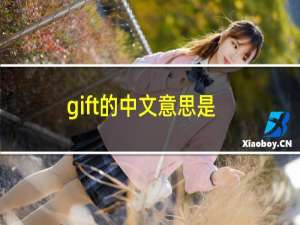 gift的中文意思是什么（gift的中文意思是什么）