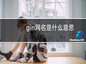 gin网名是什么意思