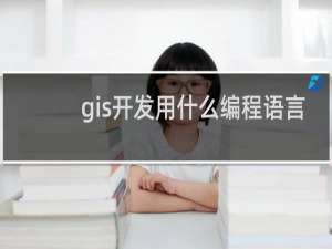 gis开发用什么编程语言