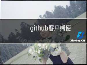 github客户端使用时无法登录的解决方法