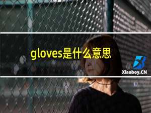 gloves是什么意思英语
